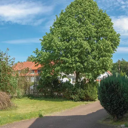 Cozy In With Wifi روستوك