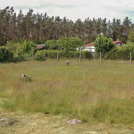 Cozy In With Wifi Rostock